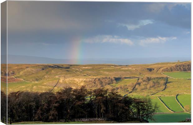 Rainbow in the Yorkshire Dales  Canvas Print by chris smith