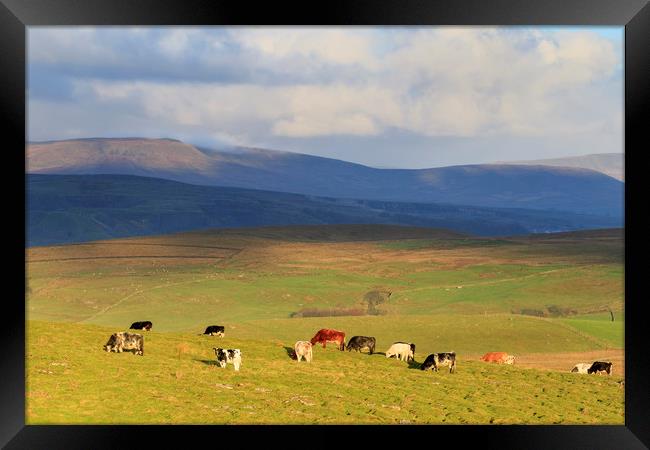 Yorkshire Dales      Framed Print by chris smith
