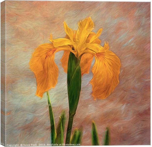 Water Iris - Textured Canvas Print by Susie Peek