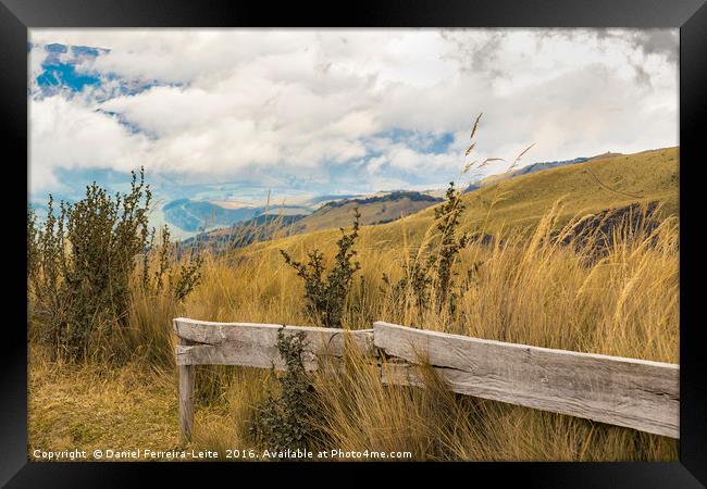 Trekking Road Andes Range Quito Ecuador Framed Print by Daniel Ferreira-Leite