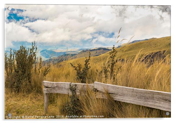 Trekking Road Andes Range Quito Ecuador Acrylic by Daniel Ferreira-Leite