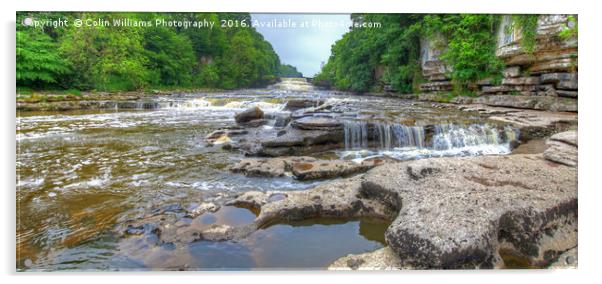 Lower Falls Aysgarth Panorama  - Yorkshire Dales Acrylic by Colin Williams Photography