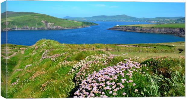 View over to Dingle Canvas Print by barbara walsh