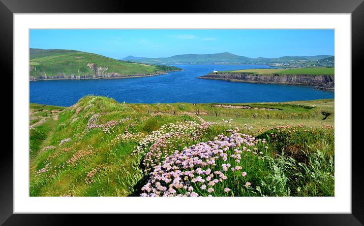View over to Dingle Framed Mounted Print by barbara walsh