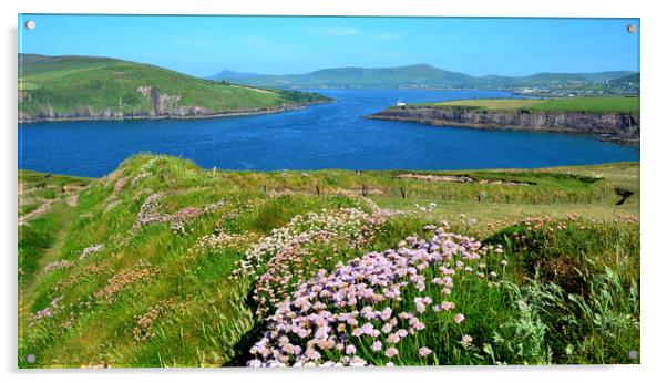 View over to Dingle Acrylic by barbara walsh
