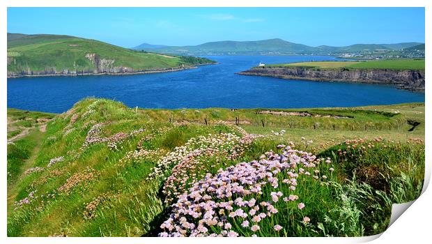 View over to Dingle Print by barbara walsh