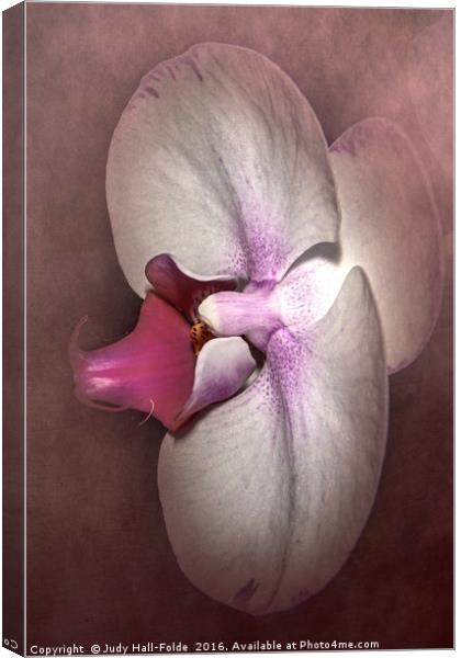 Exotic Orchid Canvas Print by Judy Hall-Folde
