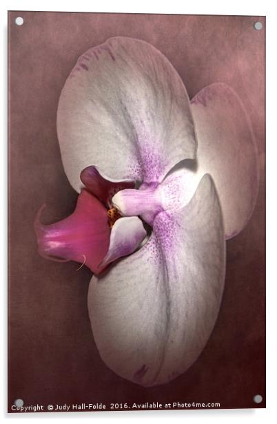Exotic Orchid Acrylic by Judy Hall-Folde
