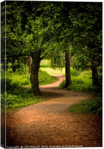 The Path to the Light can be Winding Canvas Print by Colin Metcalf