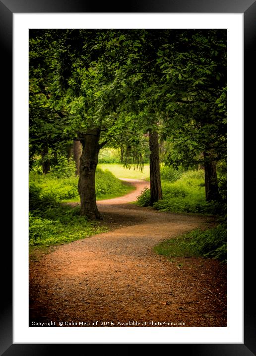 The Path to the Light can be Winding Framed Mounted Print by Colin Metcalf