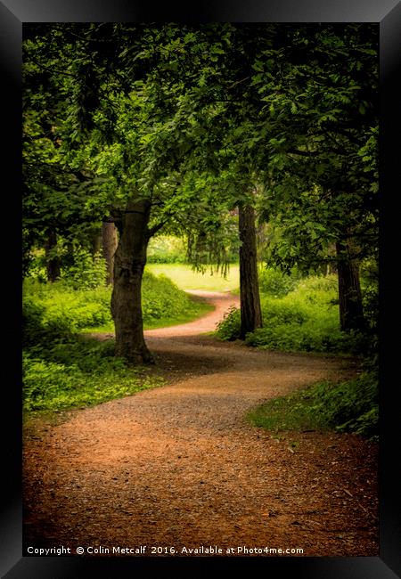 The Path to the Light can be Winding Framed Print by Colin Metcalf