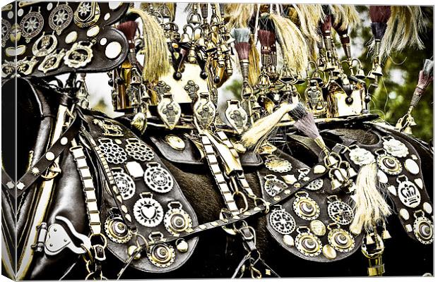 Brasses Galore Canvas Print by tony golding