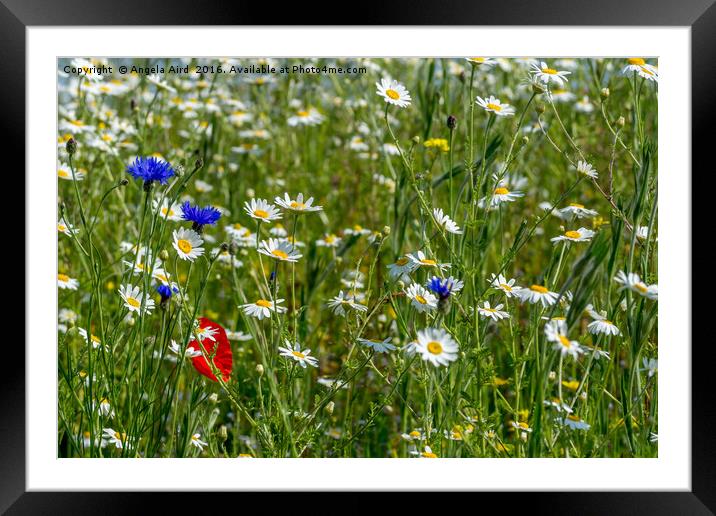 Mixed Floral Framed Mounted Print by Angela Aird