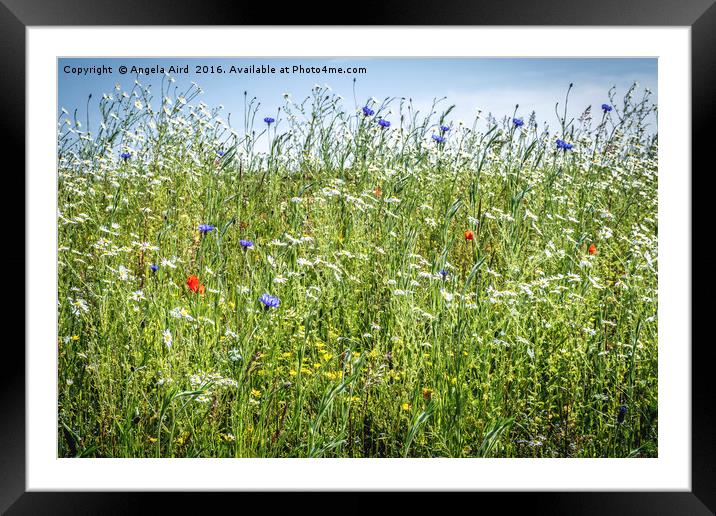 Wildflower Framed Mounted Print by Angela Aird