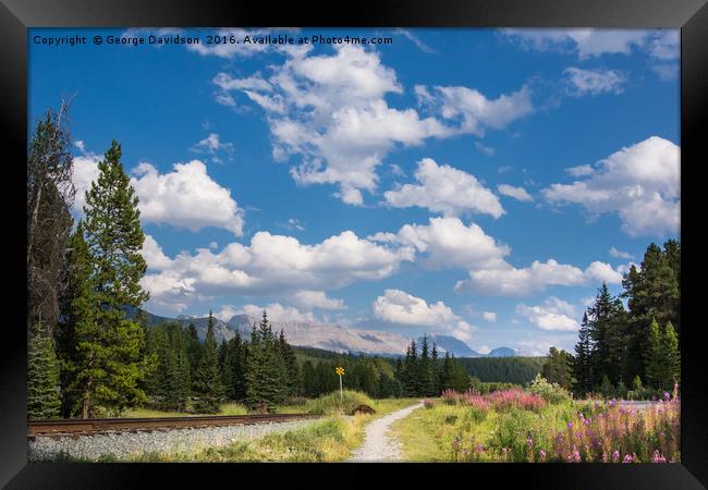 Alberta 02 Framed Print by George Davidson