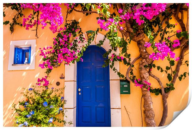 Blue door with Bougainvillea Print by Naylor's Photography