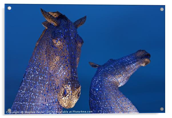 The Two heads of the Kelpies Acrylic by Stephen Taylor