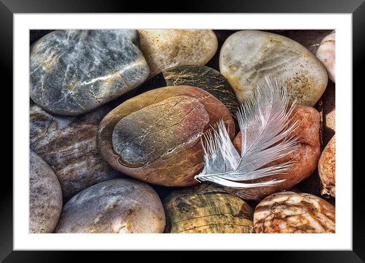 Feather and Pebbles Framed Mounted Print by John Edwards