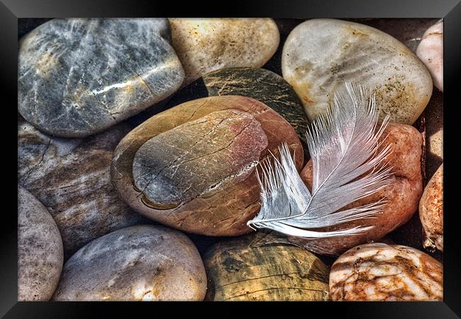 Feather and Pebbles Framed Print by John Edwards