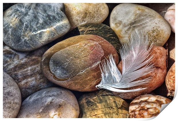 Feather and Pebbles Print by John Edwards