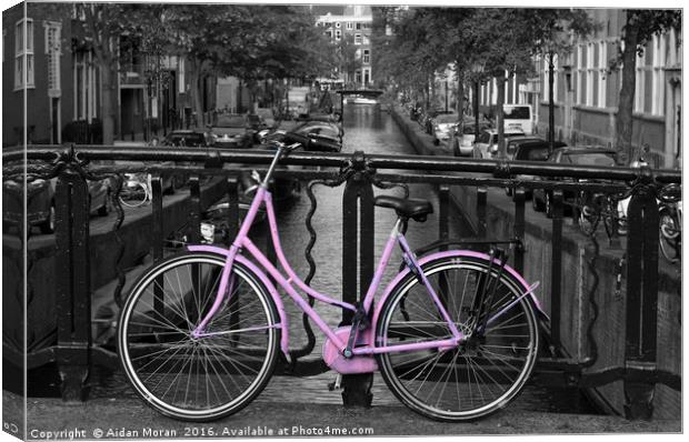 Pink Bicycle By The Canal  Canvas Print by Aidan Moran