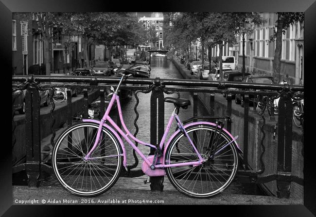 Pink Bicycle By The Canal  Framed Print by Aidan Moran