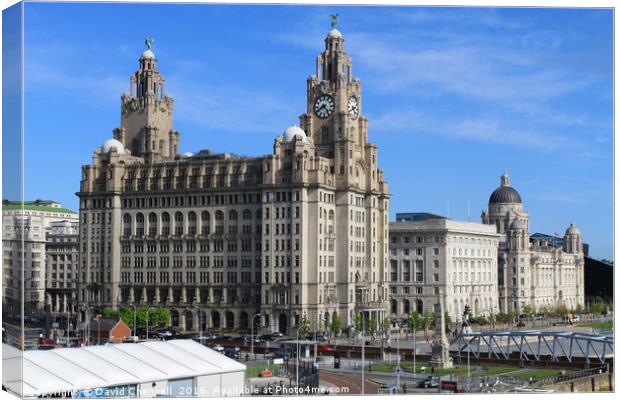 Liverpool 3 Graces  Canvas Print by David Chennell