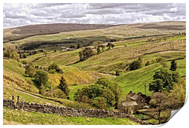 Weardale Countryside North Pennines Print by Martyn Arnold