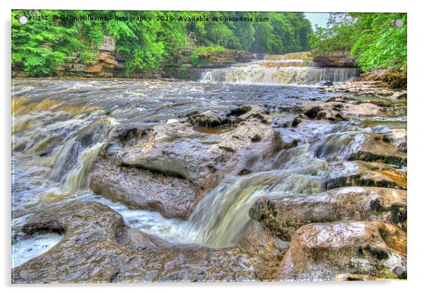 Lower Falls Aysgarth 1 - Yorkshire Dales Acrylic by Colin Williams Photography