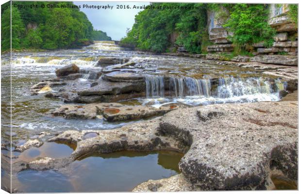 Lower Falls Aysgarth 2 - Yorkshire Dales Canvas Print by Colin Williams Photography