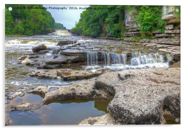 Lower Falls Aysgarth 2 - Yorkshire Dales Acrylic by Colin Williams Photography