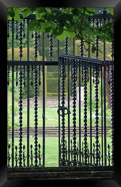 The garden gate Framed Print by Ruth Hallam