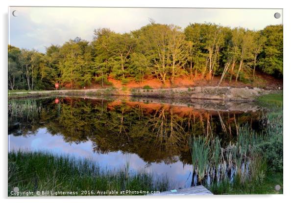 Like a Mirror Acrylic by Bill Lighterness