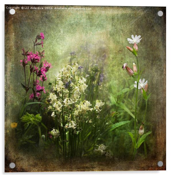 Wildflower Symphony Acrylic by LIZ Alderdice