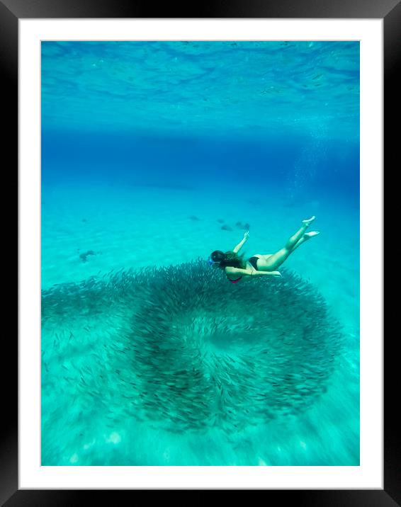 Curacao Underwater Views Framed Mounted Print by Gail Johnson
