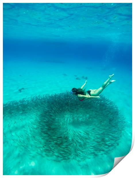 Curacao Underwater Views Print by Gail Johnson