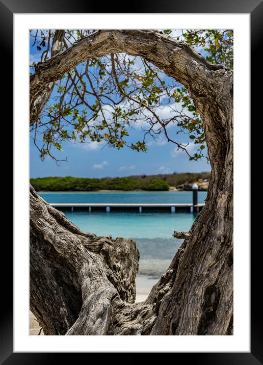 Beach Tree Framed Mounted Print by Gail Johnson