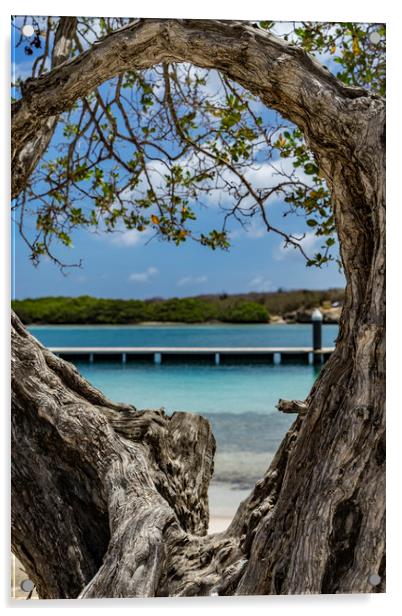 Beach Tree Acrylic by Gail Johnson