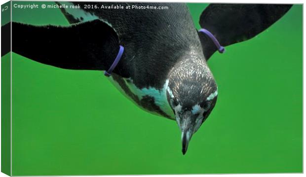 penguin underwater Canvas Print by michelle rook