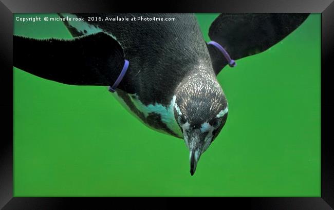 penguin underwater Framed Print by michelle rook