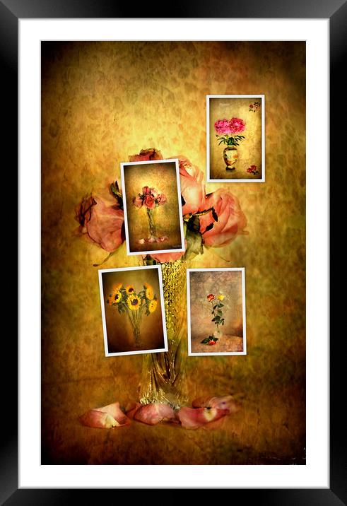 Collage of flowers Framed Mounted Print by Irene Burdell