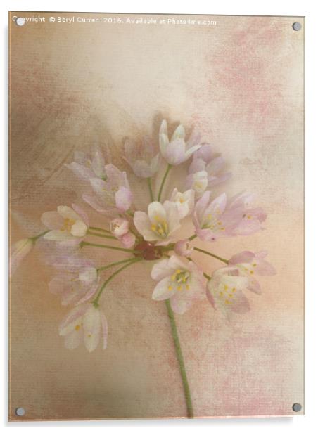 Enchanting Wild Bellflowers Acrylic by Beryl Curran