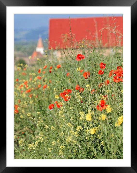 Poppy field near the village Framed Mounted Print by Adrian Bud