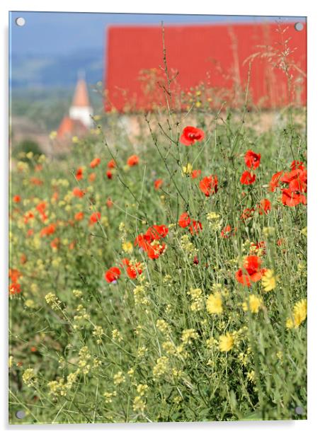 Poppy field near the village Acrylic by Adrian Bud