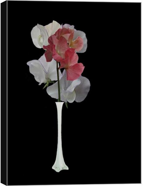 Vase of flowers Canvas Print by Henry Horton