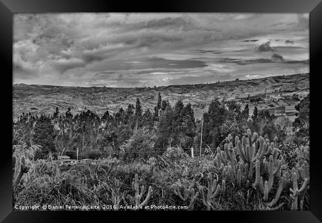 Ecuador Landscape Scene at Andes Range Framed Print by Daniel Ferreira-Leite
