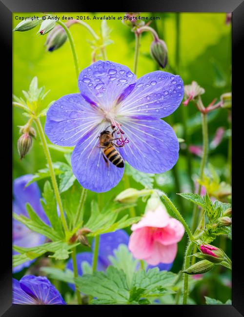 Summer days Framed Print by Andy dean