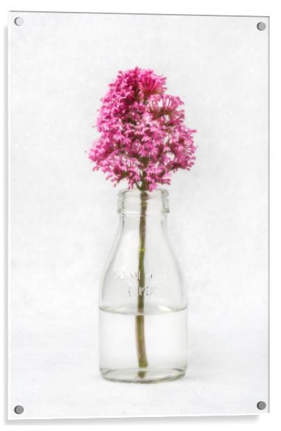Tiny Vase Acrylic by David Hare