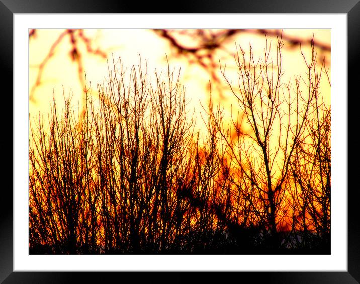 Sunset on fire Framed Mounted Print by Alexia Miles