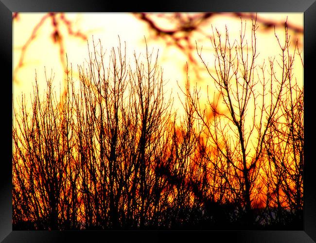 Sunset on fire Framed Print by Alexia Miles